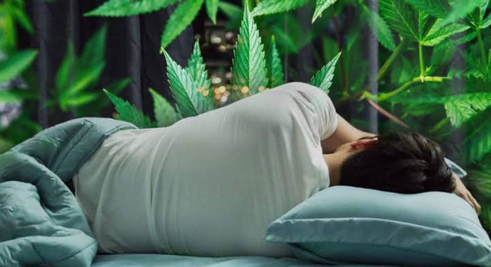 Combate el insomnio con ayuda del CBD